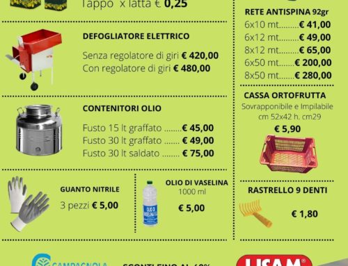 Promo Raccolta Olive