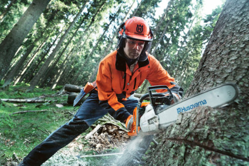 Lavorazione e taglio del legno